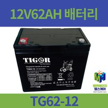 전동차배터리 12V 62AH 2개 전동휠체어 전동스쿠터 TG62-12 노인전동차, TG62-12 12V 62AH