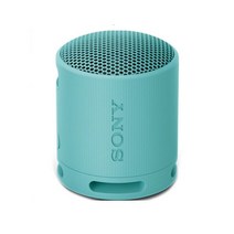 소니 휴대용 블루투스 스피커, SRS-XB100, 블루
