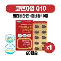 높은혈압 코엔자임큐텐 코규10 코엔자임Q10 코쿠텐 활력비타민 B군 7종 함유 식물성 미니사이즈 캡슐 코큐텐추천 식약처인증 건강기능식품, 60캡슐 X 1박스