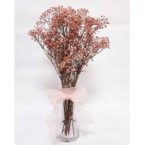 수앤로즈플라워 꽃화병세트 프리저브드플라워 안개꽃 시네신스 유칼립투스 블랙잭 드라이플라워 졸업식꽃다발 졸업식선물 꽃선물, 안개꽃-베이비핑크