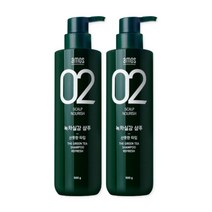 아모스1+1 녹차실감 샴푸 지성 산뜻한타입 500ml