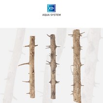 아쿠아시스템 천연 네추럴 가시나무 가지유목, 소 (20~29cm)