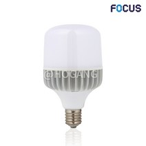포커스 LED 보안등 글러브 램프 60W E39, 주광색, 1개