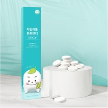 자일리톨 핀란드산 튼튼캔디 5정