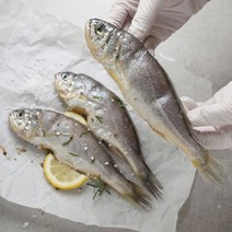 굴비다움 영광 법성포 엮걸이 굴비 40미 2.4kg, 없음