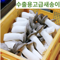 새송이버섯 2키로(친환경 수출용 무농약), 자이언트선물용2키로, 1개