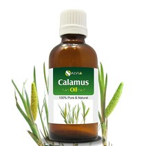 Salvia Amber Bottle Calamus Oil Acorus Calamus) 치료 에센셜 오일 100 천연 언컷 비희석 순수 냉압 아로마테라피 프리미엄, 30ml(1.01온스)