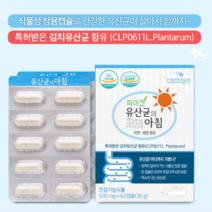 식물성 장용캡슐 건강한 김치유산균 함유 60캡슐 프로바이오틱스 200억마리 투입 가족 장건강 신바이오틱스