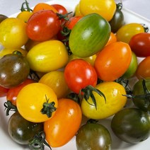 강원 춘천 친환경 GAP 컬러 대추방울토마토 새콤달콤 샐러드 칼라토마토 1kg 2kg, 1박스, 2kg(4팩)