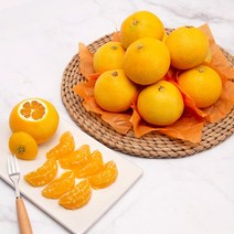 고당도 제주 서귀포 선물용 황금향, 선물용 4kg(18-23과), 1개