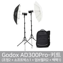 가우포토 공식정품 고독스 AD300Pro 키트 AD300Pro X2 + AD-S60S + UBL-085S/T + CB20, 단품