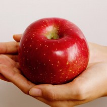 [프루티] 새콤달콤 당도선별 당도좋은 햇 부사 사과 특 정품 5kg 10kg (엔비 감홍 양광 홍로 미시마 시나노스위트 후브릭스 아리수 홍로), 5kg 정품사과:소과(선물/가정용/17알이상~)