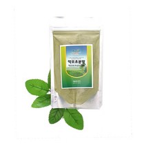 해솔에프앤비 익모초분말, 100g, 1개