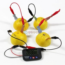 과일전지 (디지털시계 세트)