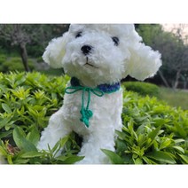 손뜨개 하트 목걸이 강아지 고양이 free 사계절 핸드메이드, 바이올렛