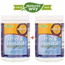 (1+1) 네이처스웨이 IP 6 이노시톨 가루 칼슘 마그네슘 솔비톨 스테비아 추출물 414g 2팩