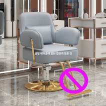 연예인 미용실 의자 고급 스페셜 헤어샵 살롱 바버샵 체어 리프트 회전, 표준, 은
