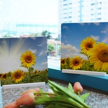 꾸밈데코_테이블액자2P행복한해바라기1(tl084)_데스크액자세우는액자스탠드장식디자인액자