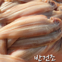 반건조 박대 서대 자연해풍 말린생선 특산물 구이 튀김 조림 탕 용 녹도현주네 수산, [대]박대30-34cm/10미-진공포장