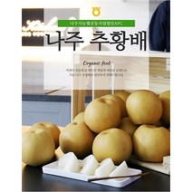 [나주시농산물유통센터] 나주 추황배 가정용 3kg(10과내외)