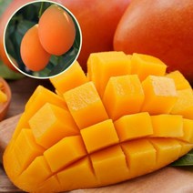 수입 애플망고 1kg