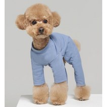 포메라니안 코카 귀여운 강아지 옷 블루 티셔츠 애견옷 데일리, 2XL
