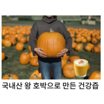 (홍열팜)정직한 국내산 늙은 호박즙 유기농호박 통째로 갈아만든 호박즙 110ml 즙쟁이 붓기차, 180포