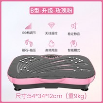 음파진동기 전신 뱃살 쉐이크 덜덜이 음파 운동기구 홈트 다이어트 기구, 업그레이드B/로즈핑크/6대기능/199단 인버터/