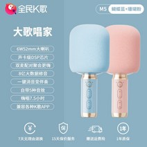 마이크 무선 노래방 휴대용 블루투스, 공식 표준, 세트1