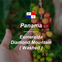 [커피생두] 파나마 에스메랄다 다이아몬드 마운틴 워시드 1KG, 1개