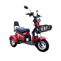 이지모터스 세발오토바이 충전식 스쿠터 전동차 EG-150