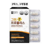 그린 프로폴리스 아연 경질 캡슐 호주산 식약처 식약청 인증 인정 추천 면역력 항산화 이뮨 면역 영양제 플라보노이드 메가 고함량 효과 효능 비 폴라폴리스 폴리폴리스 플로폴리스 무첨가, 3box(ea) 3개월분, 민쓰네가게 1box(ea)당 30캡슐