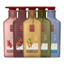 동의홍삼 헤어 케어 샴푸/린스 500ml x2개, 02.동백 린스 500ml x2개
