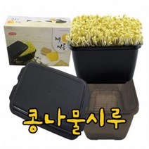 (아시아종묘/재배기)정성껏 키운 건강한 먹거리 콩나물시루 블랙 +콩나물콩50g 증정, 콩나물시루+콩나물콩50g