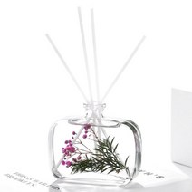 에클라스 드라이 플라워 디퓨저 100ml, 아쿠아 파나레아, A 타입