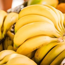 바나나도매 [특등급] 13kg 바나나가격 가락청과네 바나나 수입바나나 변비주스 바나나다이어트 바나나과일, 1개