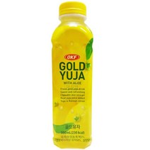 OKF 골드 유자 500ml 12펫 간식 탕비용품 아이들간식 유자음료, 1, 1