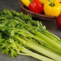 샐러리 3kg 녹즙용