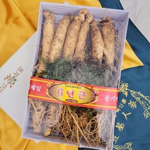 풍기인삼 5년근 6년근 인삼 수삼, 1세트, 정품 원수삼 500g(8~12뿌리) 선물용 실속포장