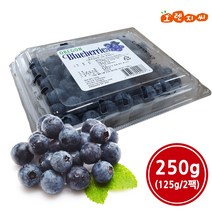 생 블루베리 250g (125g/2팩), 2개