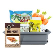 월드가드닝 집에서길러먹는채소-당근텃밭세트9종, 단품