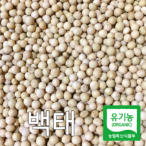 산들바람 2022년산 국내산 유기농 백태 메주콩 500g