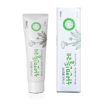 하얀민들레치약 [2+1] 천연성분 잇몸개선 불소없는 구내염치약 160g, 3