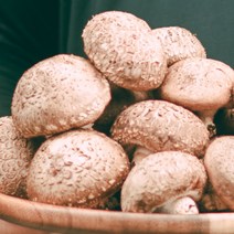 [하진이네버섯뜰에]국내산 표고버섯 못난이(파지) 1kg, 단품