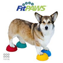 FitPaws PawPods 핏퍼즈 퍼포즈 밸런스운동 신체감각향상 핏포우즈 반려견휘트니스 4개세트