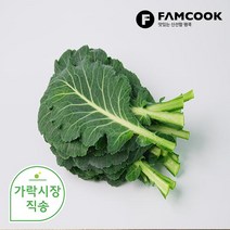 가락시장직송 녹즙케일 1단 (약 500g), 단품