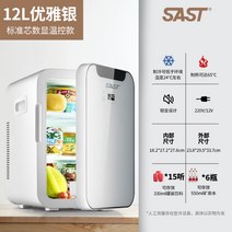 미니냉동고 음식물냉동고 음식물쓰레기냉동고 편의점, 12.12L 차량/가정 겸용 실버 디지털 패널