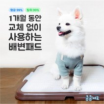 킁킁제로 반려견 배변패드 배변판, 배변패드+배변판, 1개