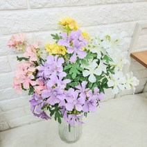 로즈제라늄다발, 라벤더