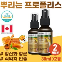 성장기 어린이 환절기 목 기관지 건강 잇몸 영양제 입천장 혀 건조할때 고함량 폴리폴리스 식약처 인증 항산화 구강 항균 도움 뿌리는 프로폴리스 편도 부었을때 구취제거 인후스프레이